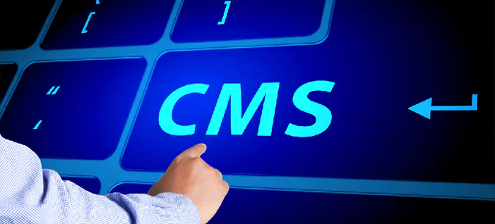 CMS Development